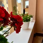 Sicilia Bedda Room's 3* パレルモ