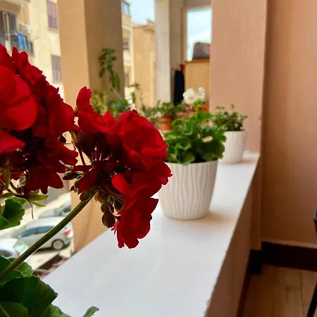 Sicilia Bedda Room's 3* パレルモ